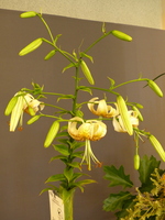 Foto: Dr. Peter Müller